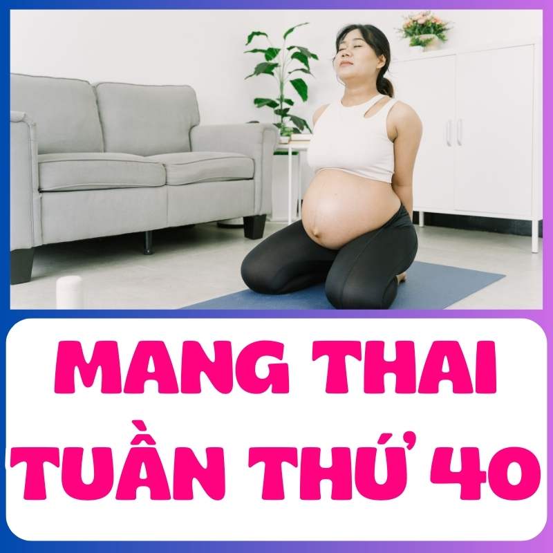 Mẹ bầu tập yoga nhẹ nhàng